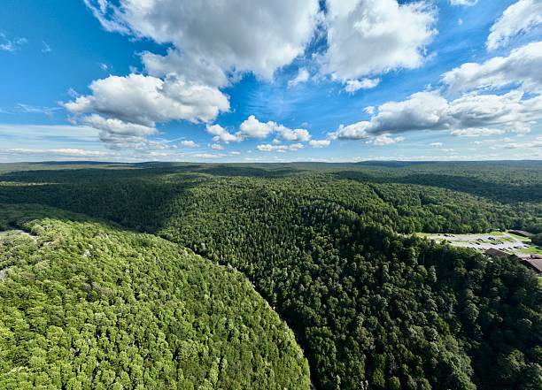 istock Forested Canyon Rim at Blackwater Falls State Park 2234733898