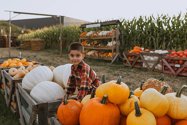 istock Little Boy Holding Pumpkin Outdoors 2234739501