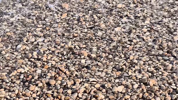Gentle waves lap against smooth pebbles on a serene beach scene, showcasing nature's tranquil beauty.