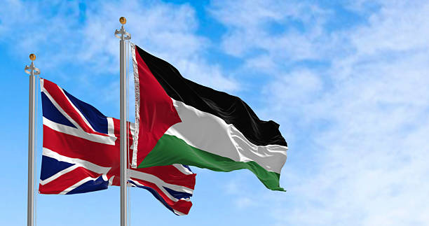 istock Flags of Palestine waving together 2234742373