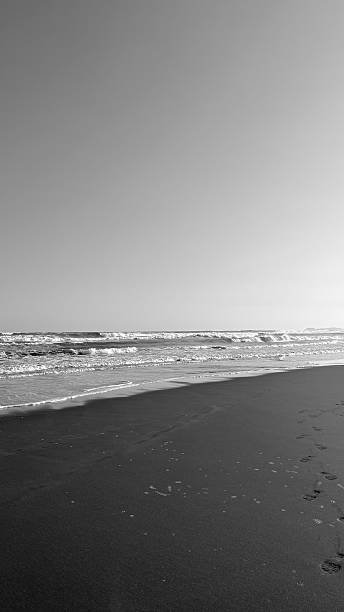 istock Black and white photo of peaceful beach 2234743008