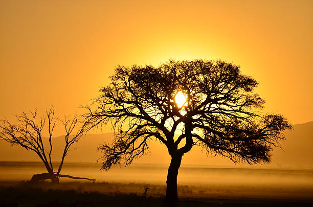 istock Colorful sunset over Namibian desert horizon 2234744164