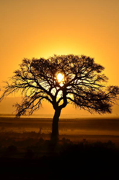 istock Colorful sunset over Namibian desert horizon 2234744169