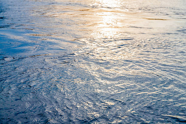 Water surface reflects sunlight creating shimmering golden and blue hues abstractly