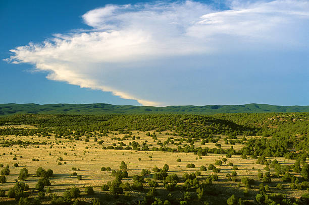 Beautiful New Mexico desert landscape.