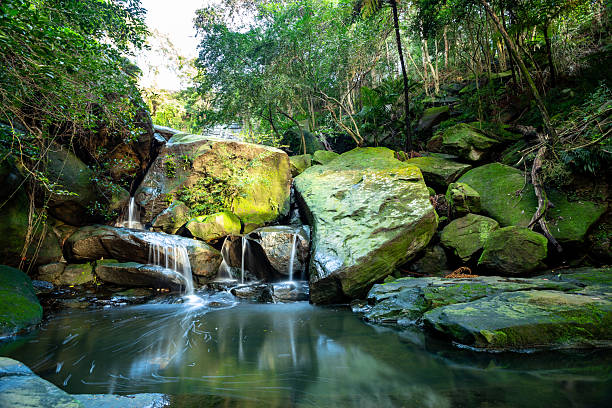 istock Small waterfall flowing over sandstone in a lush green forest 2234756017