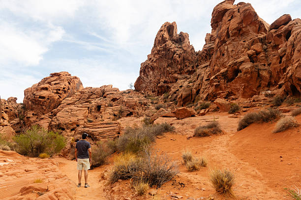 istock Scenic Desert Landscape in Valley of Fire Nevada 2234756496