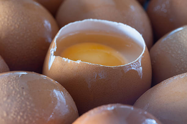 Close-up of Egg yolk in Broken raw chicken eggshell and Fresh chicken egg (Hen egg). Natural organic fresh eggs for healthy food, use it as your Space for text, Design, Wallpaper and Poster, Selective focus.