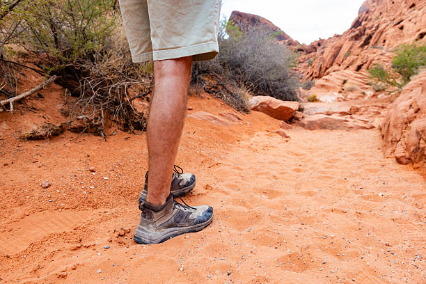 This is a photograph of a man hiking on a sandy trail in the scenic desert landscape in Valley of Fire State Park, Nevada on a summer day.