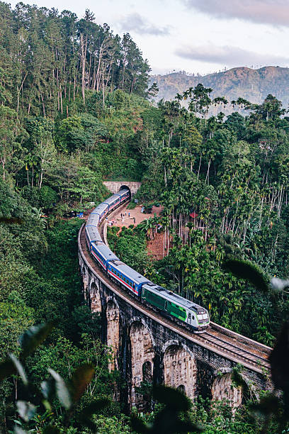 istock Aerial view of train in jungle and train trestle, Ella 2234760103