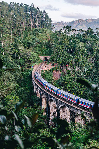 istock Aerial view of train in jungle and train trestle, Ella 2234760104