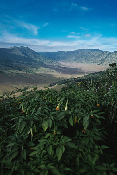 Beautiful scenery of the Whispering Sand in the Bromo Tengger Semeru National Park