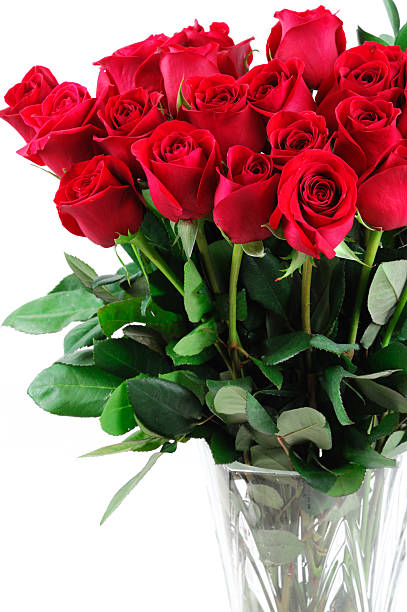 istock red roses in vase isolated on white background 2234774654