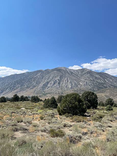 istock Eastern Sierra Highway Outside Yosemite 2234775885