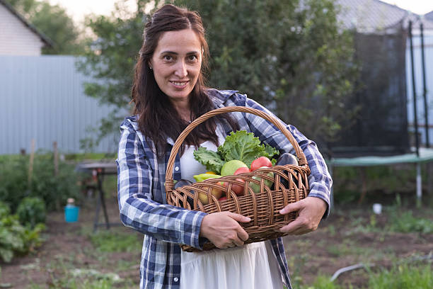 istock A woman is harvesting an array of fresh, colorful vegetables in a rustic countryside setting 2234781980