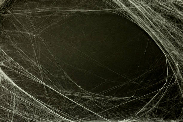 istock close up spider's web on black color background with copy space for add content or design on display and card invitation for halloween night party design concept concept 2234785859