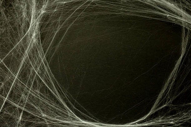 istock close up spider's web on black color background with copy space for add content or design on display and card invitation for halloween night party design concept concept 2234785860