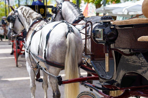 istock White horses pulling traditional carriage in ronda,malaga,spain 2234786016