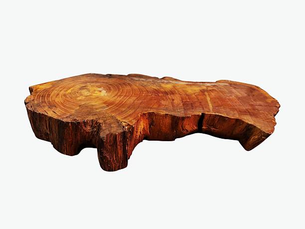 The white background in the image is the base of a tree root or part Or part of a decorative tree can be modified into a base to place various items in the house or used for display in a shop.