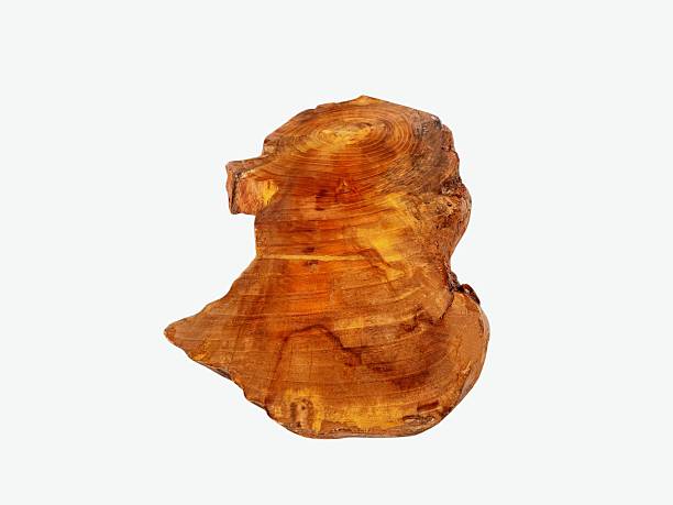 The white background in the image is the base of a tree root or part Or part of a decorative tree can be modified into a base to place various items in the house or used for display in a shop.