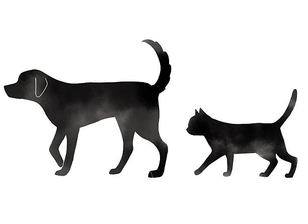 digital illustration