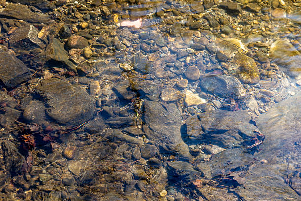 istock View of the rivver bottom 2234790205