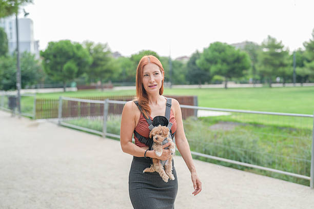 istock A woman is walking down a sidewalk with a small dog on a leash 2234797132