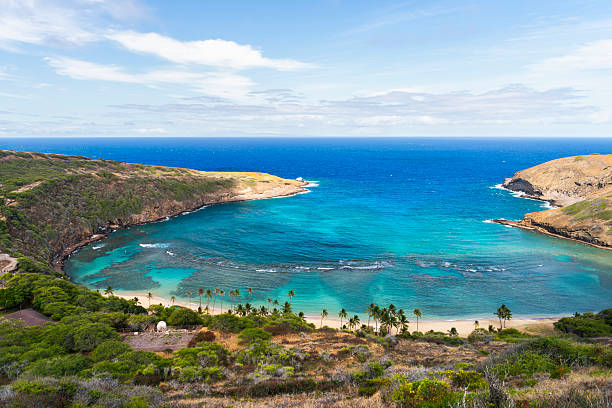 Hawaii  United States June30, 2024:This vibrant photograph captures the bustling energy of Waikiki Beach in Honolulu, showcasing the turquoise waters, sandy shores, and the city's impressive skyline. The image highlights the unique blend of urban life and beachside relaxation, where tourists and locals alike gather to enjoy the sun, surf, and stunning scenery.