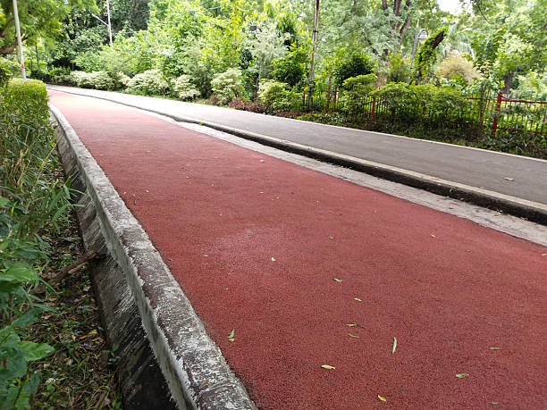 Straight paved walkway in green park bordered by wild grass and trees, tranquil outdoor path ideal for jogging, walking, leisure or nature exploration, clean surroundings with fresh greenery, open public garden atmosphere