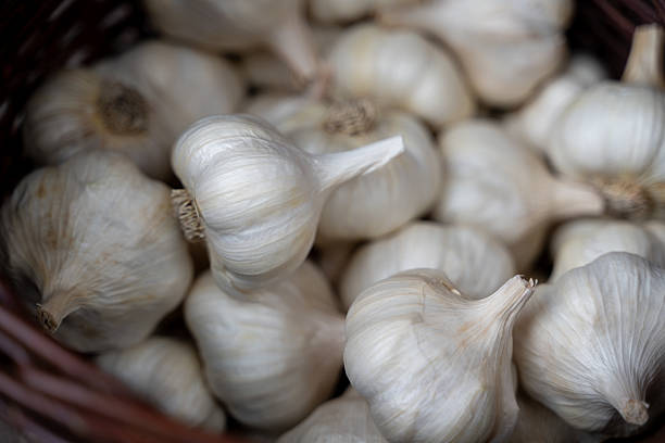 Close-up view of multiple white garlic bulbs with dry papery skins arranged in a rustic wicker basket. The soft lighting and natural textures highlight the freshness and culinary value of this essential kitchen ingredient.