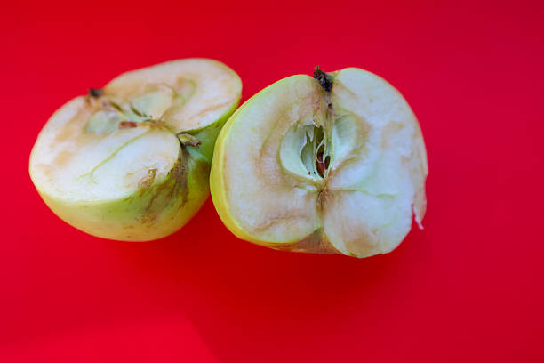 Two halves of a spoiled apple with brown spots on a bright red background. This photograph illustrates the concept of decay, the natural process of aging, and the difference between the ideal and the real.