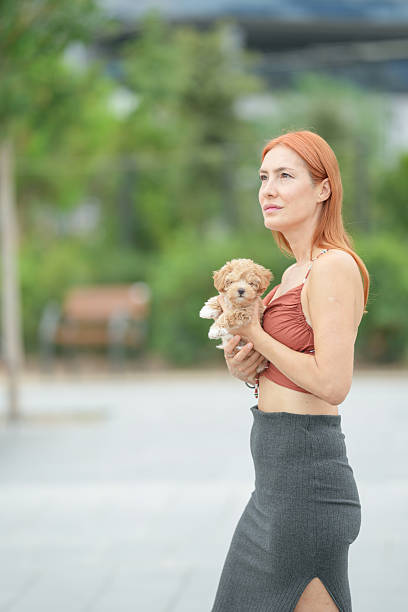 istock A woman holding a small dog 2234805187