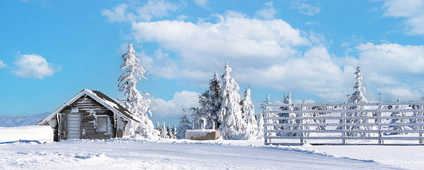 Christmas winter landscape, old wooden house, surrounded by snow-capped fir trees