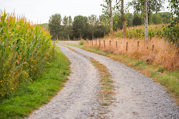 A peaceful, serene gravel road beautifully meanders through vibrant, colorful fields and gentle, lush foliage