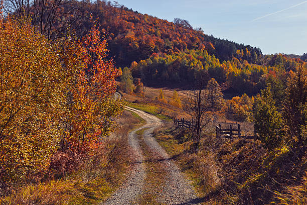 Autumn colored trees and countryside landscape scenery.