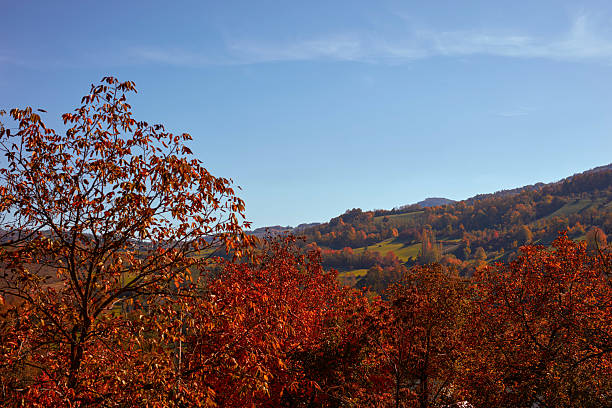 istock Autumn colored trees and countryside landscape scenery. 2234816484