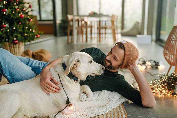 istock Together for the Christmas holidays 2234818771