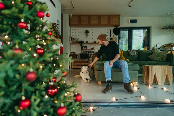 istock Together for the Christmas holidays 2234820078