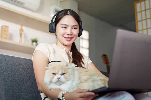 istock Focused Remote Work. Young woman enjoying laptop time with cat on her lap. 2234820339