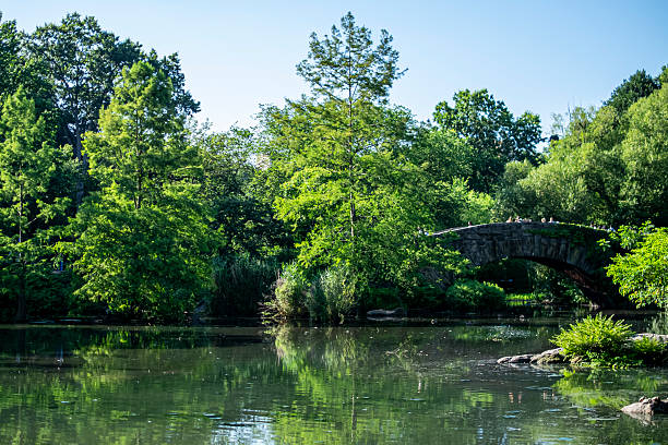 istock Gapstow Bridge Reflected in Central Park Pond 2234822333
