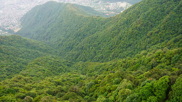 istock Green hills cradle Kathmandu 2234823295
