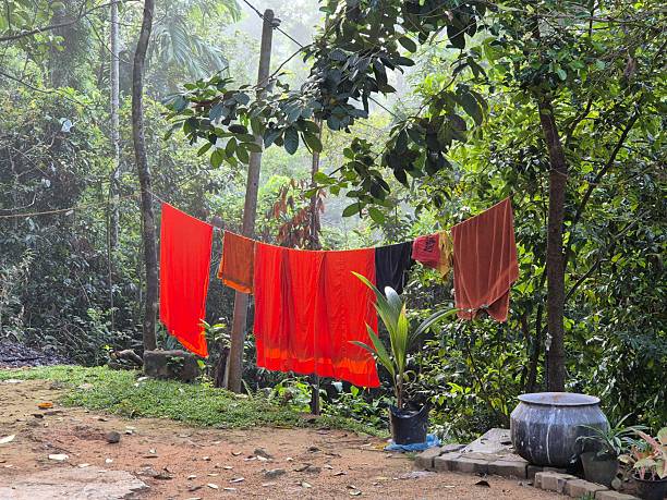 istock Holiday in Asia - Sri Lanka 2234825033