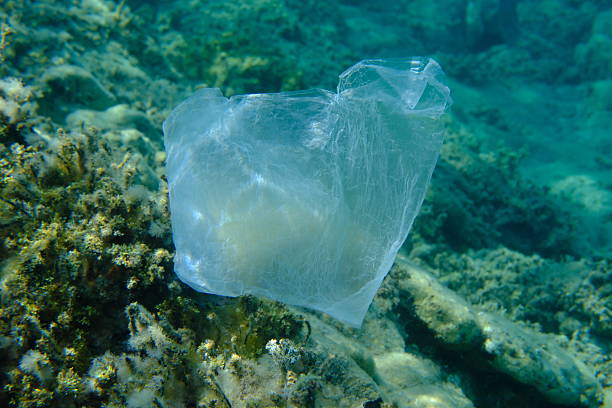 istock A plastic bag underwater, Aegean Sea. Sea pollution. 2234828833