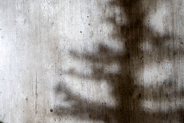istock Abstract image of a grungy and aged cement surface. The texture features cracks and a shadow overlay. Copy space. Textured background 2234836127