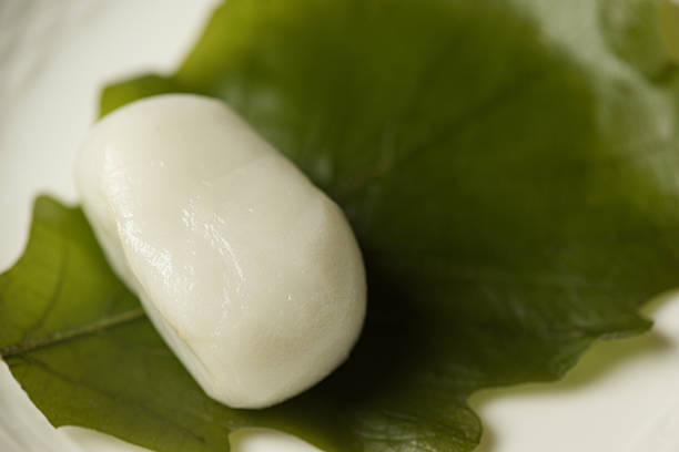 Macrophotography of a kashiwa mochi.