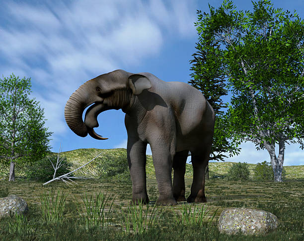Illustration of a Deinotherium (extinct mammal that lived between the Miocene and Pleistocene)