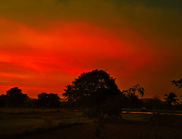 Sunset in the countryside
