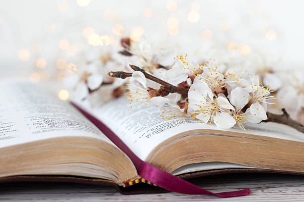 Open holy bible book and branch with flowers on table with bokeh background. Close-up. Selective focus. Christian growth, studying Scripture, biblical concept.