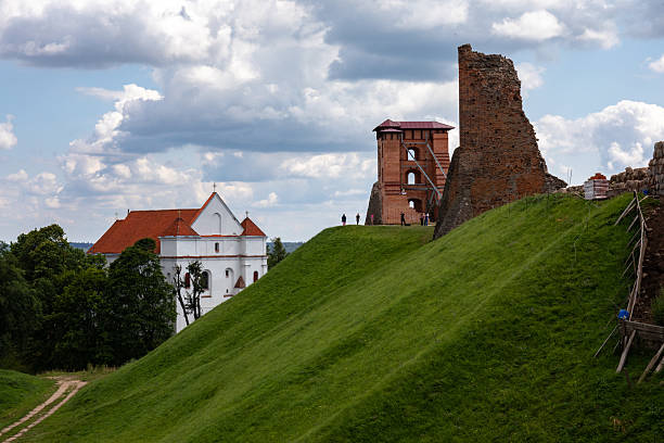 The weathered ruins of an old castle sit atop a hill, surrounded by wild grass and open sky. Crumbling stone walls and remnants of towers hint at a once-majestic fortress, now reclaimed by nature. The elevated setting offers a dramatic view, evoking themes of history, mystery, and timeless beauty.