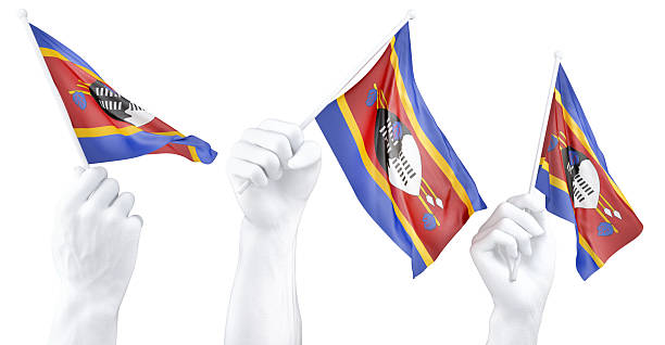 Hand holding flag of Eswatini (Swaziland). Isolated 3d Rendering.